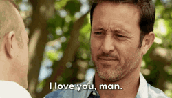 Steve Mcgarrett Love You Man Love You Too GIF