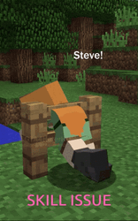 Steve Minecraft Skill Issue GIF