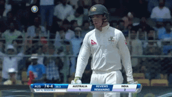Steve Smith Australia Cricket Team Captain GIF