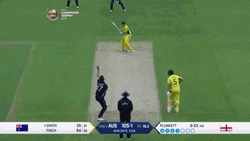 Steve Smith Best Batsman Cricket GIF