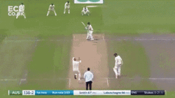 Steve Smith Cool Batting Pose GIF