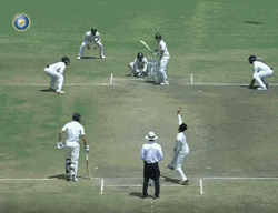 Steve Smith Fish Mouth Ravindra Jadeja  GIF