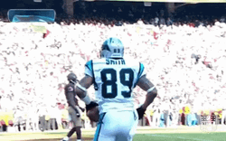 Steve Smith Football Touchdown Dance GIF