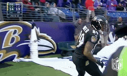 Steve Smith Sr. Football Game Ready GIF