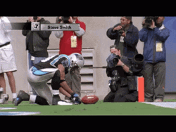 Steve Smith Sr. Football Wipe GIF