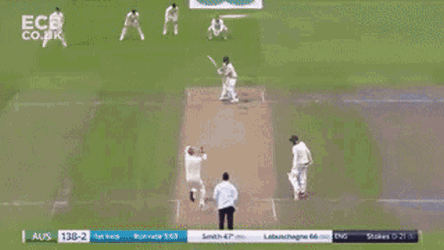 Steve Smith Steve Smith Cricket GIF