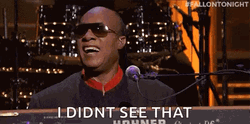 Stevie Wonder I Didn't See That GIF | GIFDB.com