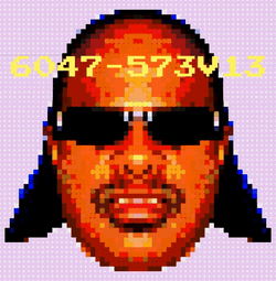 Stevie Wonder Called Me Happy Birthday Today GIF