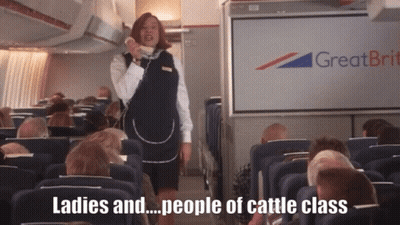 Stewardess Talking Ladies And People Of Cattle Class GIF