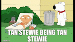 Stewie Griffin Want Get Tan GIF