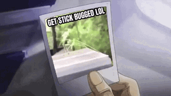 Stick Bug Looking At The Mirror GIF