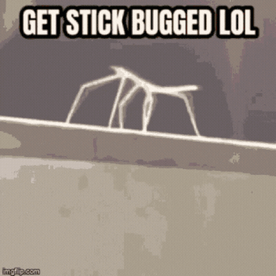 Stick Saying Get Stick Bugged Lol GIF