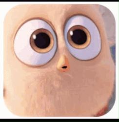Stick Tongue Out Angry Birds Hatchling GIF
