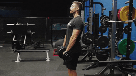 Stiff Leg Deadlift Form GIF