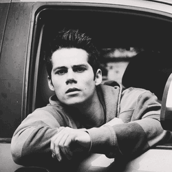 Stiles Stilinski Seriously Staring GIF