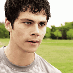 Stiles Stilinski Unbelieving Reaction GIF