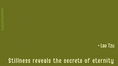Stillness Reveals The Secrets Of Eternity By Lao Tzu With A Deer In The Background GIF