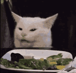 Stimulus Check GIF