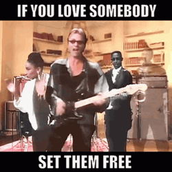 Sting If You Love Somebody Set Them Free GIF