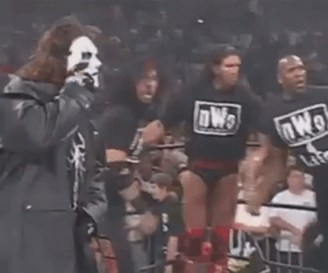 Sting Mascot Fight GIF