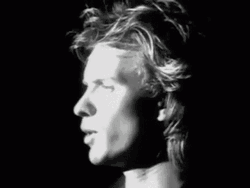 Sting Police Investigation GIF