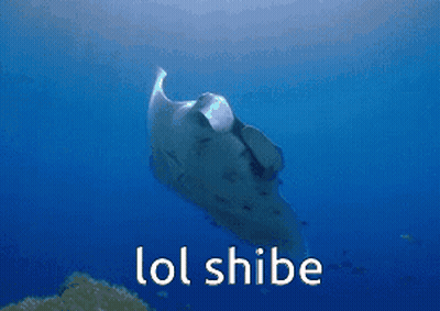 Stingray In Ocean Saying LOL Shibe GIF