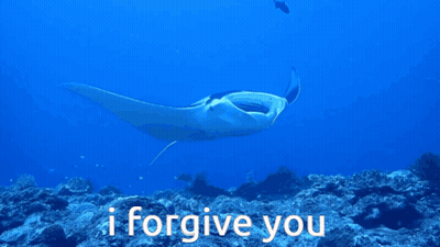 Stingray Swimming With I Forgive You GIF