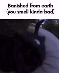 Stinky Cat Banished From Earth Meme GIF
