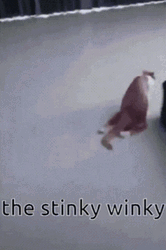 Stinky Winky Crawling Ginger Cat GIF
