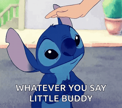 Stitch Saying Whatever You Say Little Buddy GIF