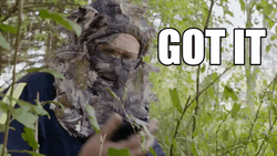 Stittsville Noted GIF