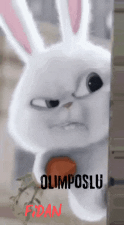 Stmfdn Olmfdn GIF