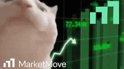 Stock Market Move Up Funny Cat GIF
