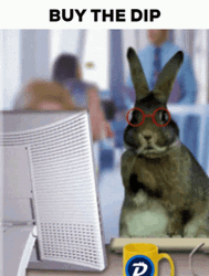 Stocks Funny Busy Bunny Buy The Dip GIF