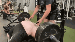 Stomach Bench Press GIF