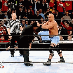 Stone Cold Brutal Stunner Move On Eric Bischoff GIF