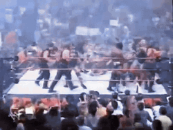 Stone Cold Joining Chaotic Fight GIF