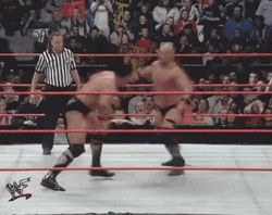 Stone Cold Jumping Stunner The Rock GIF