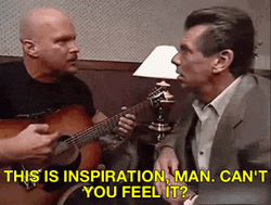 Stone Cold Steve Austin And Vince McMahon GIF
