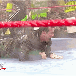Stone Cold Steve Austin Hosing Beer GIF