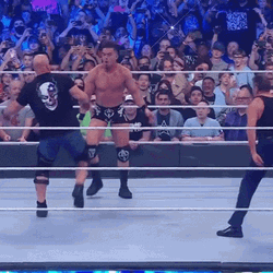 Stone Cold Steve Austin Stunner GIF