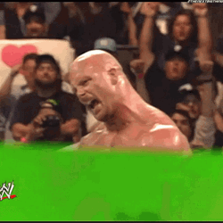 Stone Cold Steve Austin Taunting GIF
