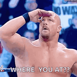 Stone Cold Steve Austin Where You At GIF