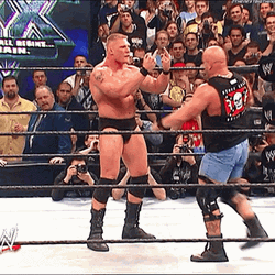 Stone Cold Stunner Kick On Brock Lesnar GIF