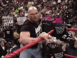 Stone Cold Stunner Steve Austin Flipping Out GIF