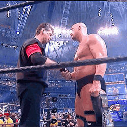 Stone Cold Stunner Steve Austin Vince McMahon Handshake GIF