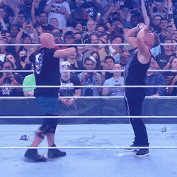 Stone Cold Stunner Steve Austin Wrestlemania GIF