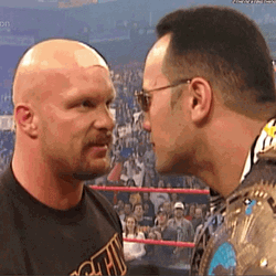 Stone Cold Stunner The Rock Face Off GIF