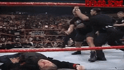 Stone Cold Stunner Vince Mc Mahon Passed Out GIF