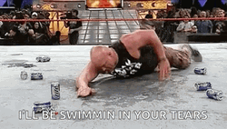 Stone Cold Swimming In Beer GIF